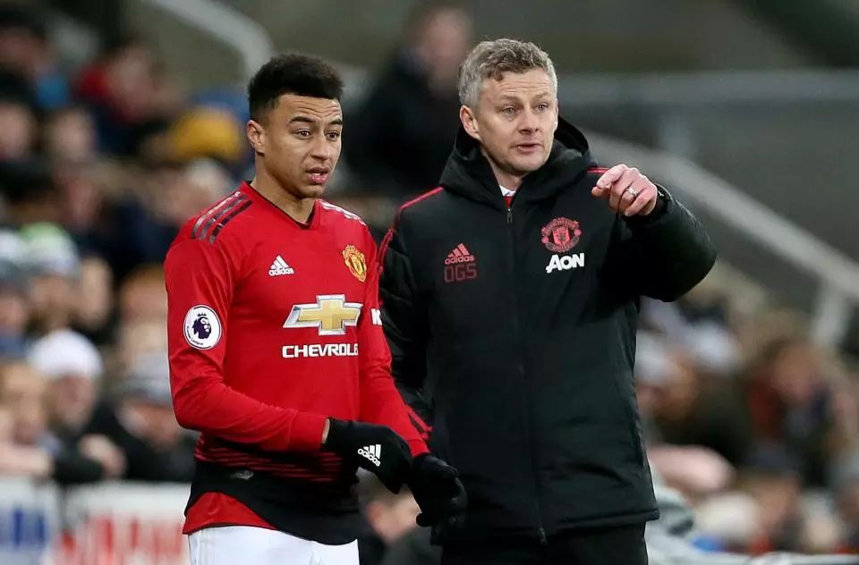 我们可以窥 我们可以窥